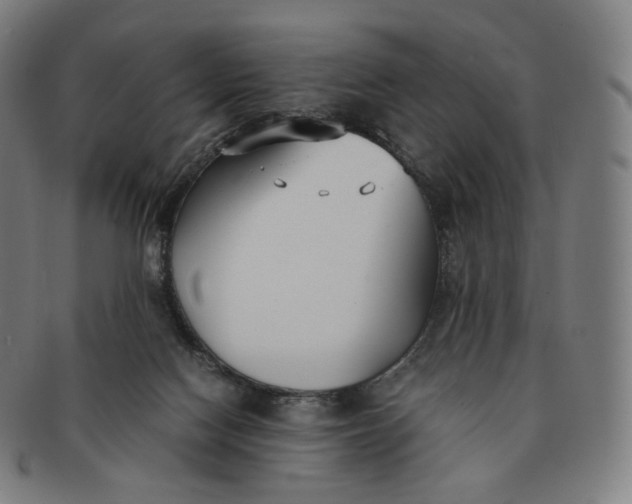 X0000091300074200708241100