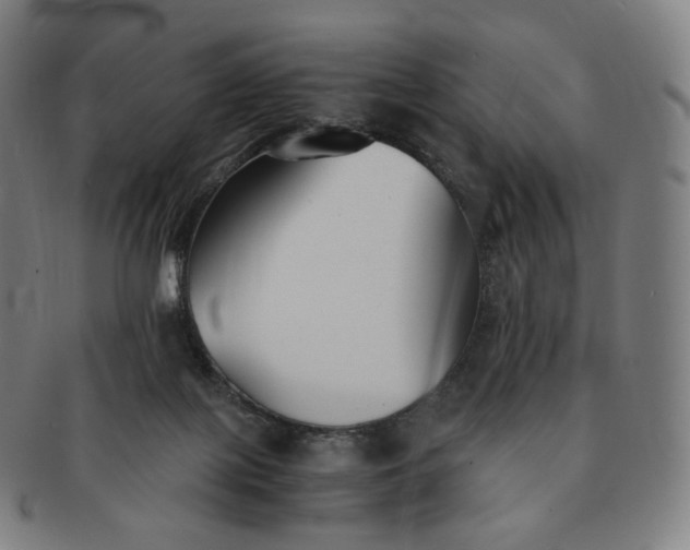 X0000091300075200708241100