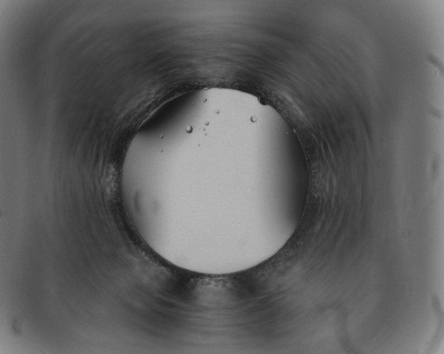 X0000091300077200708241100