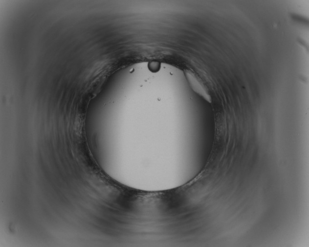 X0000091300078200708241100