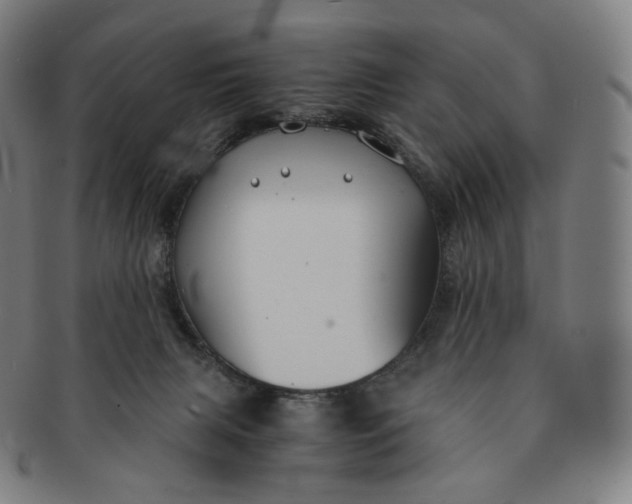 X0000091300079200708241100