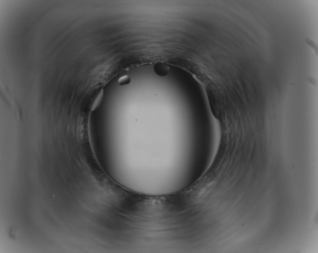 X0000091300080200708241100