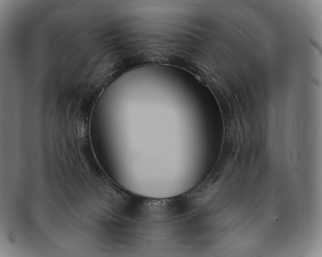 X0000091300084200708241101