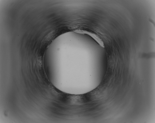 X0000091300085200708241101