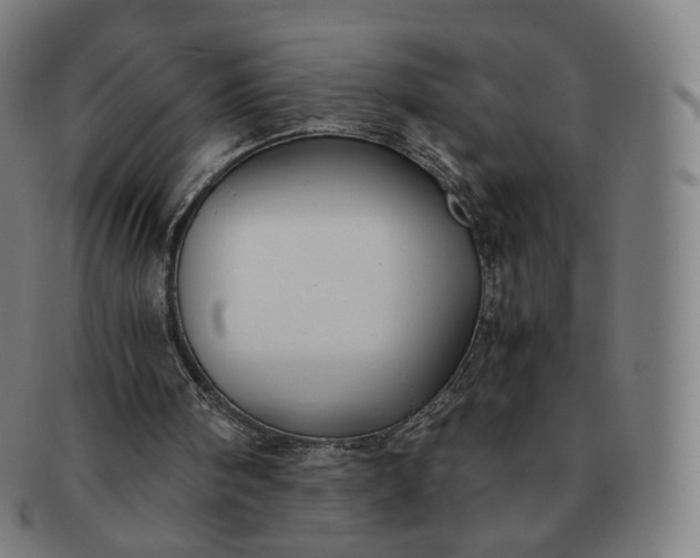 X0000091300098200708241100