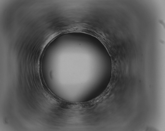 X0000091300100200708241100