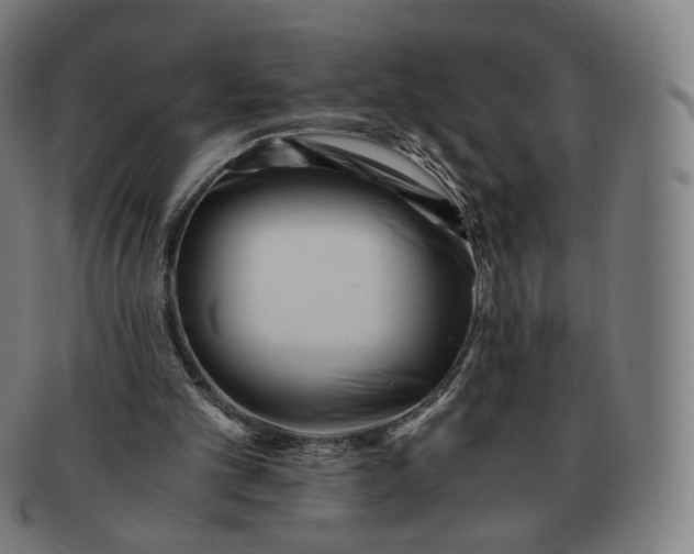 X0000091300101200708241100