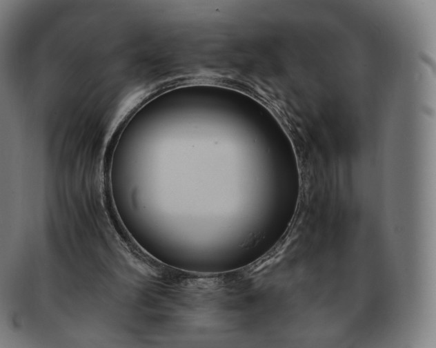 X0000091300102200708241100