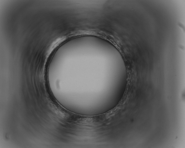 X0000091300104200708241100