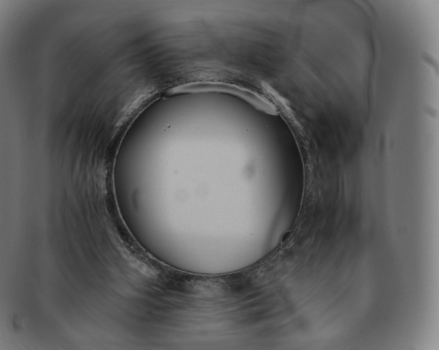 X0000091300106200708241100