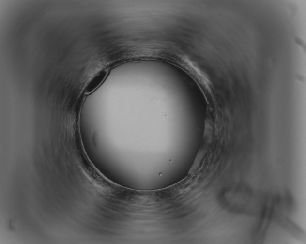 X0000091300107200708241100