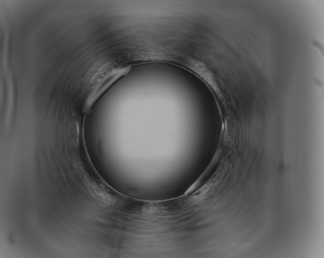 X0000091300109200708241100