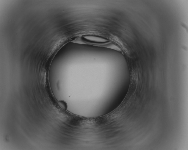 X0000091300110200708241100