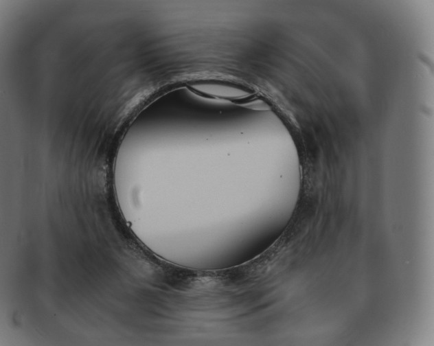 X0000091300111200708241100