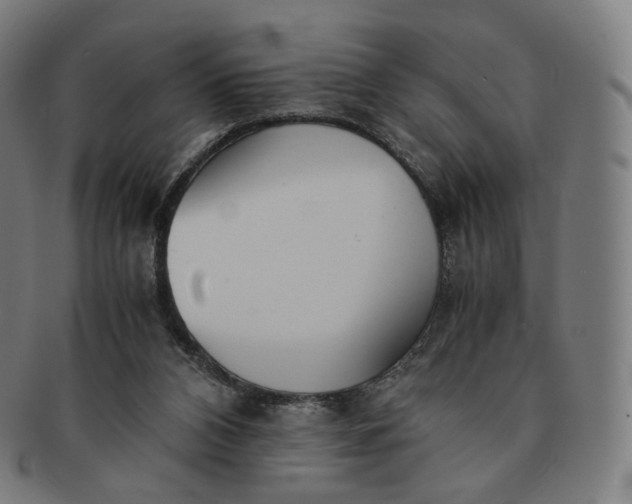 X0000091300112200708241100