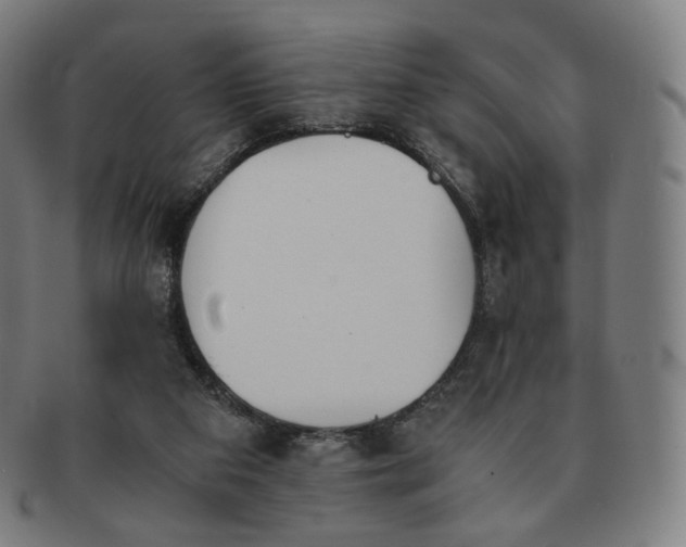 X0000091300113200708241100