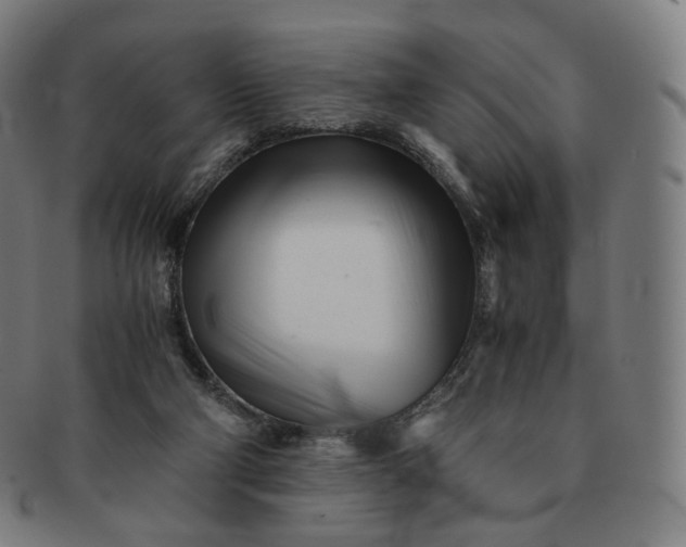 X0000091300114200708241100