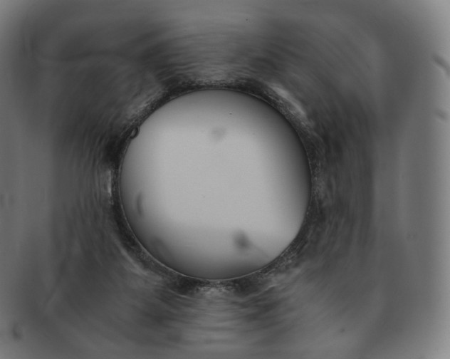 X0000091300115200708241100