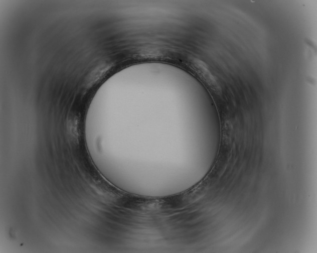 X0000091300116200708241100