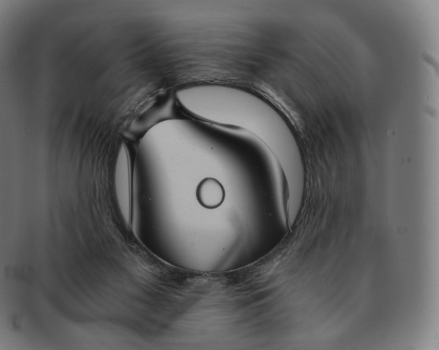 X0000091300117200708241100