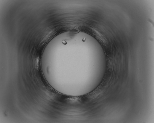 X0000091300118200708241100