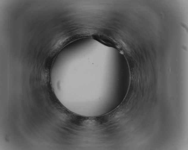 X0000091300119200708241100