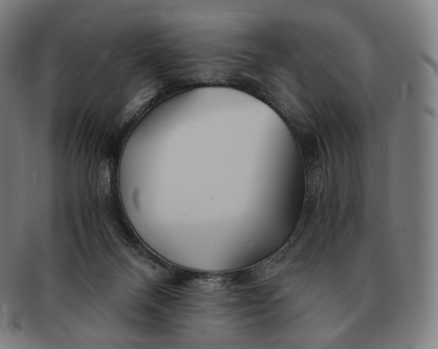 X0000091300120200708241100