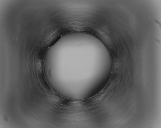 X0000091300121200708241100