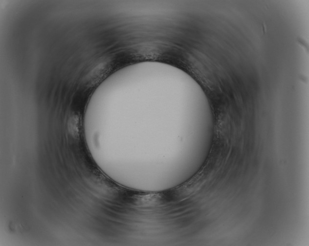 X0000091300122200708241100