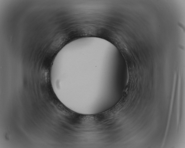 X0000091300123200708241100