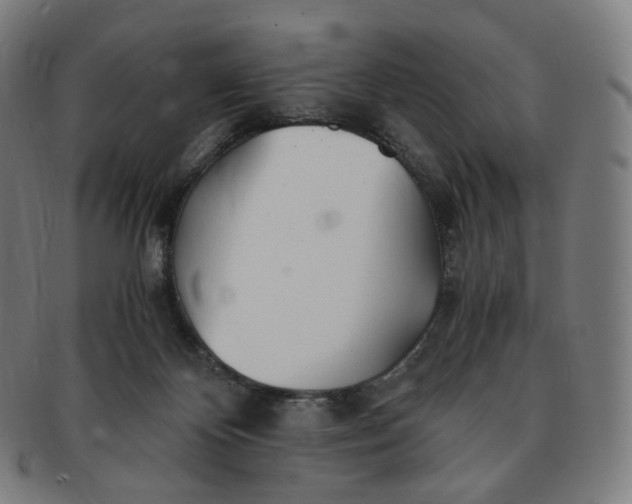 X0000091300124200708241100