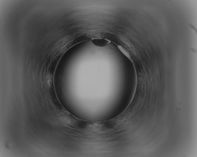 X0000091300125200708241100