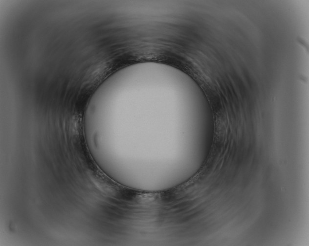 X0000091300126200708241100