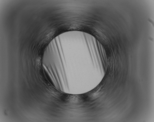 X0000091300127200708241100