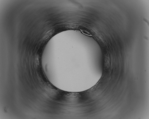 X0000091300128200708241100