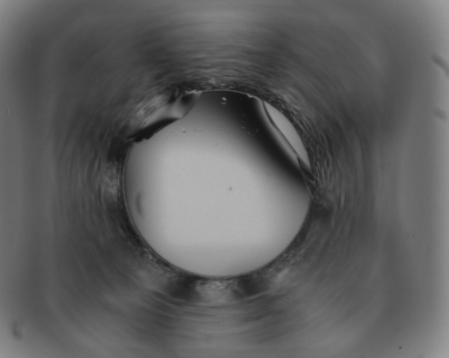 X0000091300129200708241100