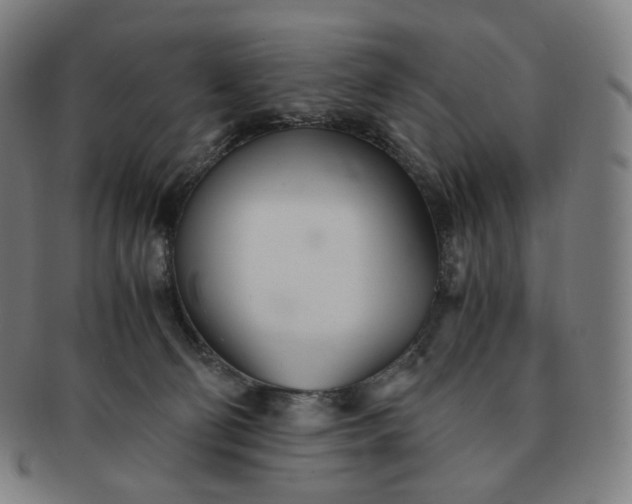 X0000091300130200708241100