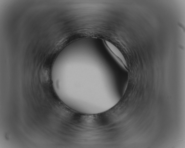 X0000091300131200708241100