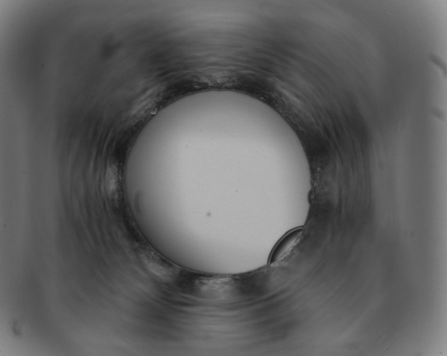 X0000091300132200708241100