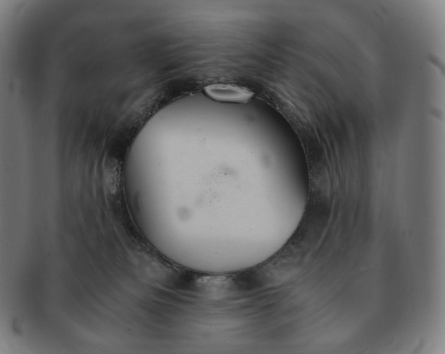 X0000091300133200708241100