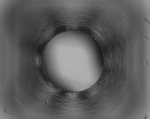 X0000091300134200708241100