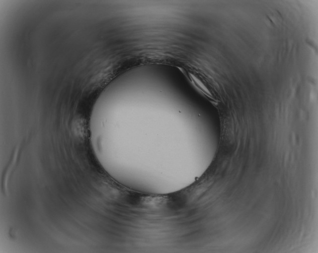 X0000091300135200708241100