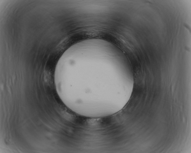 X0000091300136200708241100