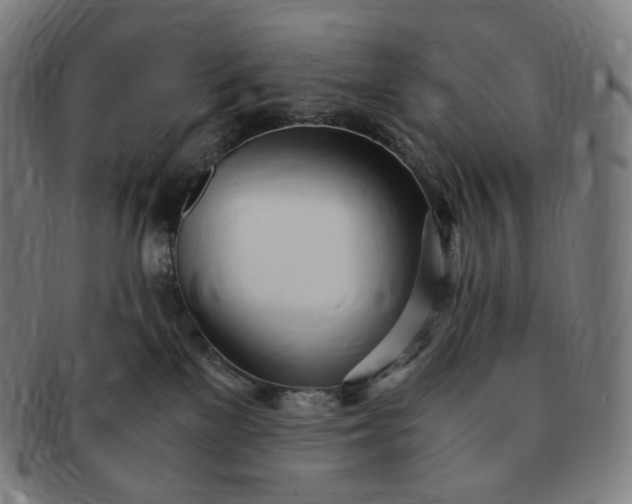 X0000091300137200708241059