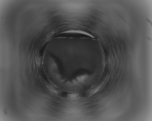 X0000091300139200708241059