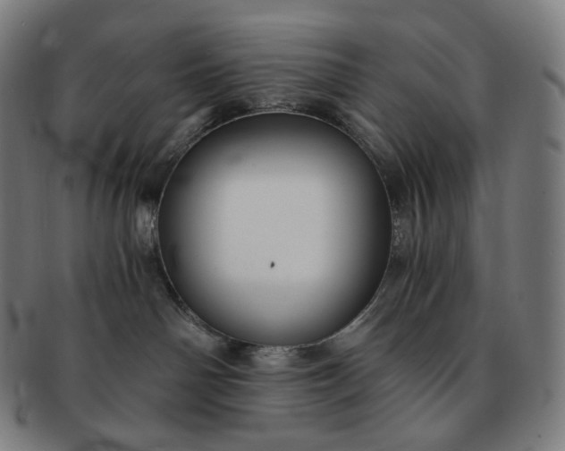 X0000091300142200708241059