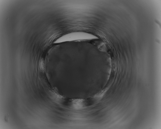 X0000091300143200708241059