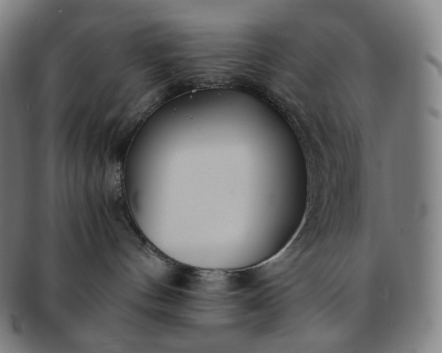 X0000091300144200708241059