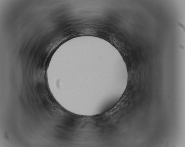 X0000091300146200708241059