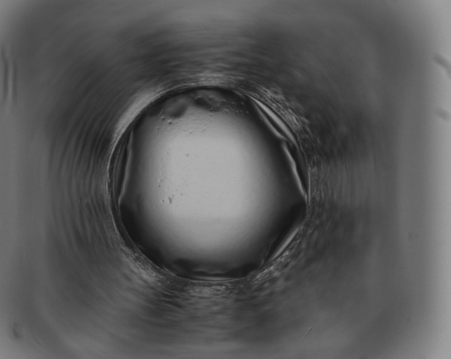 X0000091300147200708241059